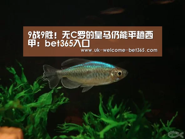 bet365官方网站