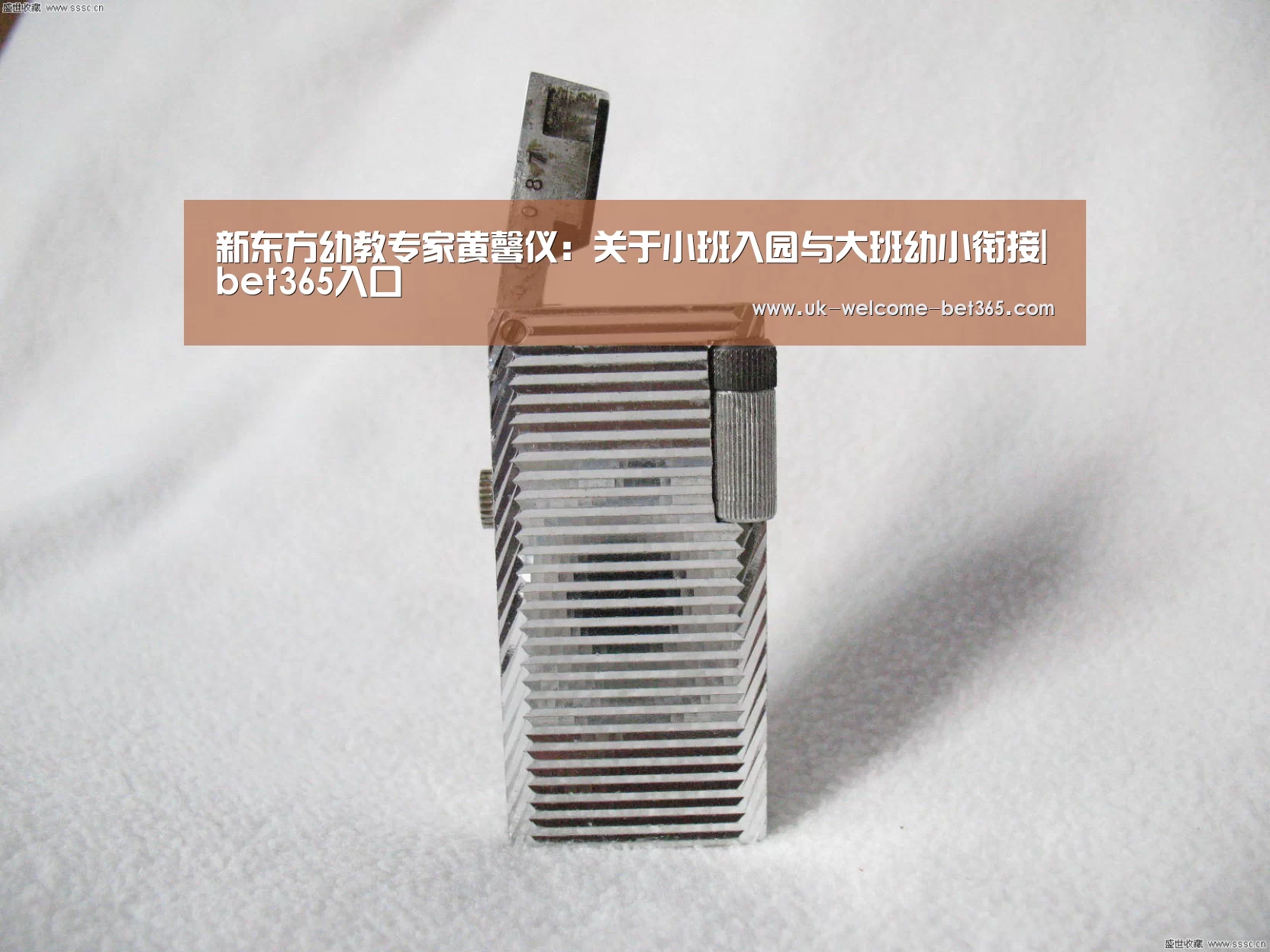 新东方幼教专家黄馨仪:关于小班入园与大班幼小衔接|bet365入口(图2) bet365官方网站